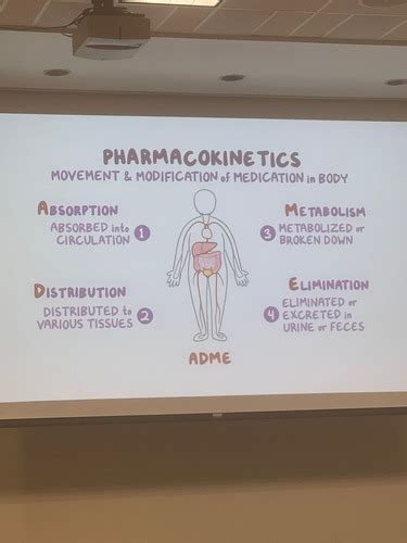 Psychopharmacology Flashcards Quizlet