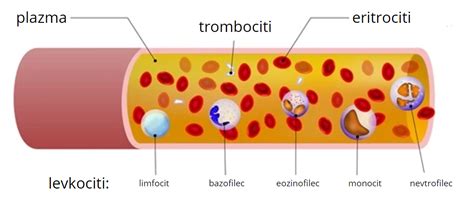 Ali Znamo Brati Laboratorijske Izvide