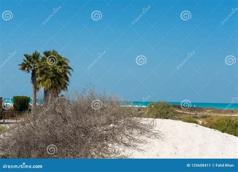 Saadiyat Public Beach, Saadiyat Island, Abu Dhabi, UAE Editorial Photo ...