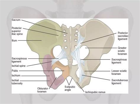 SI JOINT DYSFUNCTION.pptx