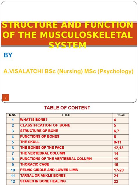 1. STRUCTURE AND FUNCTION OF THE MUSCULOSKELETAL SYSTEM.pptx ...