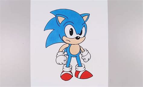 How to Draw a Sonic step by step - Sonic the Hedgehog - Entertainment ...