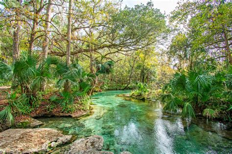 Mystery Vacation Orlando, FL | Mystery Vacations