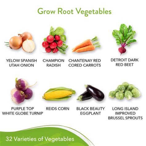 Heirloom Vegetable Seeds - (32 Variety) - Homegrown Garden