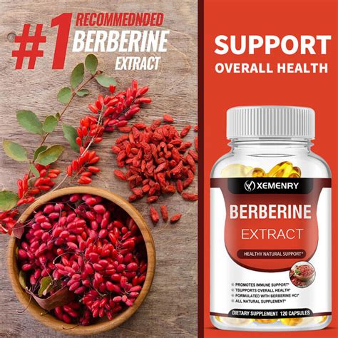 Berberine Extract Mg High Absorption Heart Health Support