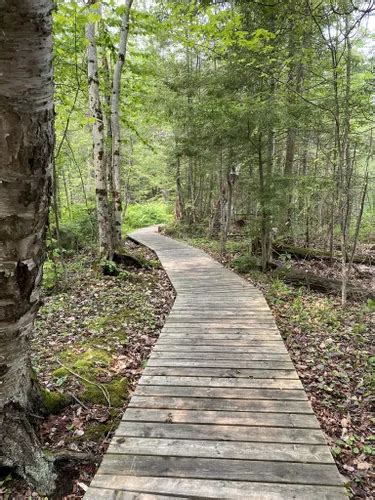 Best Hikes and Trails in Georgian Bay Islands National Park | AllTrails