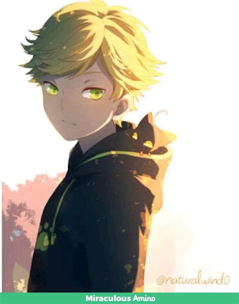 Adrien Agreste/Cat Noir | Wiki | Miraculous Ladybug ! Amino