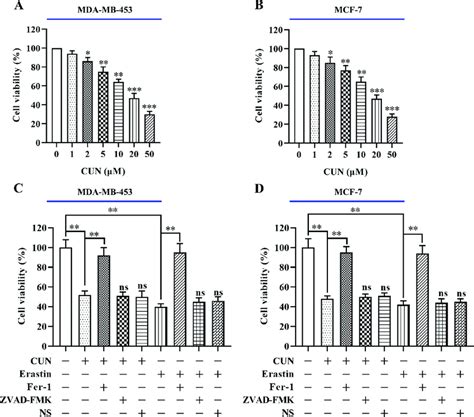 Treatment With CUN Upregulates Erastin Induced Ferroptosis In BC Cells