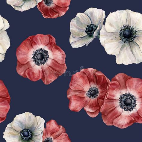 Modello Dell Anemone Dell Acquerello Su Fondo Blu Scuro Fiori Rossi E