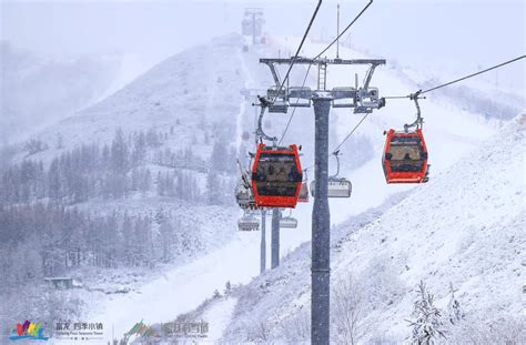 雪地上的少年谷爱凌与苏翊鸣星火智库