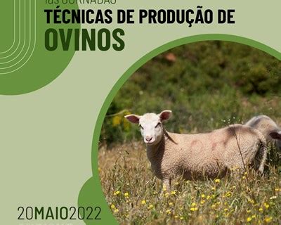 1ªs Jornadas Técnicas de Produção de Ovinos debatem desafios e