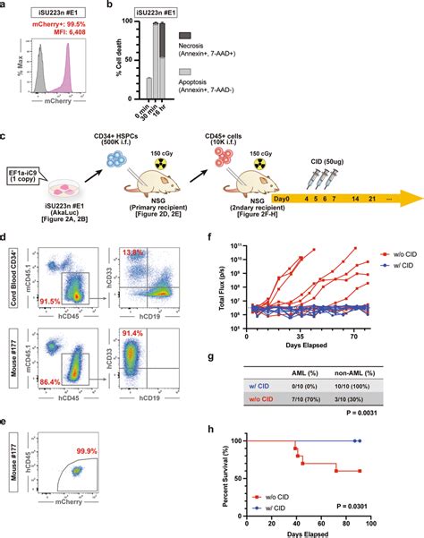 Induced Apoptosis In Aml Mouse Model A Flow Cytometric Analyses Of The