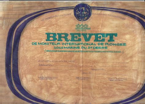 Brevet Cmas Plong E Plaisir Site Officiel