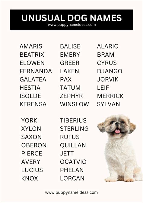 150+ Unusual Dog Names - Puppy Name Ideas