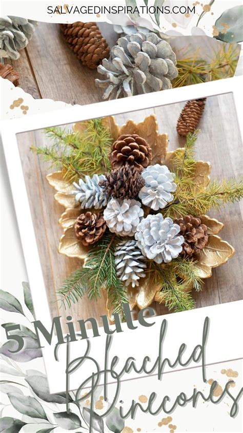 5 Minute Bleached Pinecones Diy