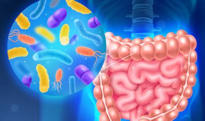 Microbiote Intestinal Biogroup