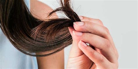 Aprender Acerca 93 Imagen Biotina Para Cabello Piel Y Uñas Abzlocalmx