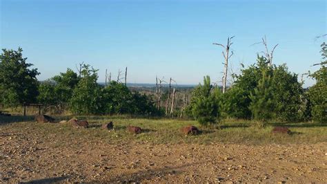 Bastrop State Park | Attractions in Austin