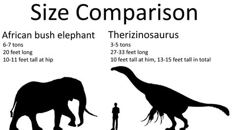 Size comparison of African bush elephant and Therizinosaurus : r/Dinosaurs