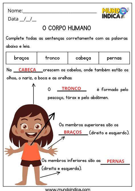 Atividades Corpo Humano 1 Ano Ensino Fundamental - 20 Atividades de Ciências para 1 ano Ensino Fundamental com Respostas