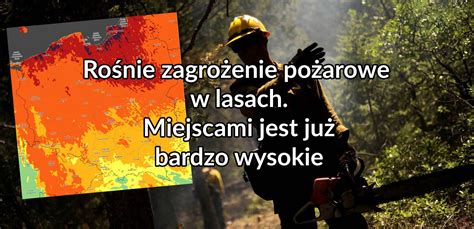 Rośnie zagrożenie pożarowe w lasach Miejscami jest już bardzo wysokie