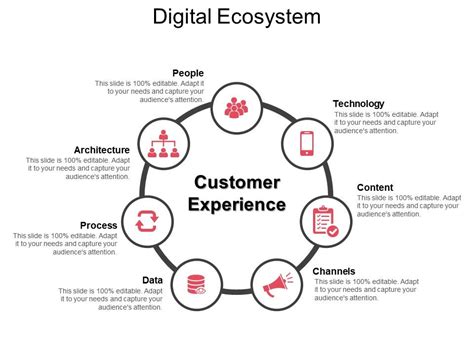 Digital Ecosystem Ppt Infographic Template PowerPoint Design Template