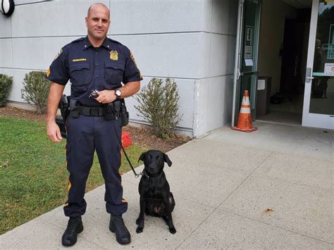 Passaic County Sheriff’s Department Holds K-9 First Aid Seminar - TAPinto