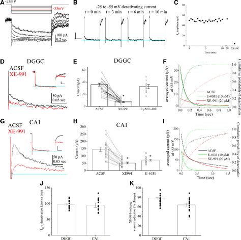 Figure From Gq Coupled Muscarinic Receptor Enhancement Of Kcnq