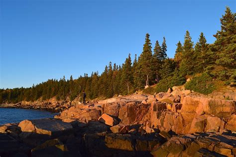 Sunset Trees Rocks Pine - Free photo on Pixabay