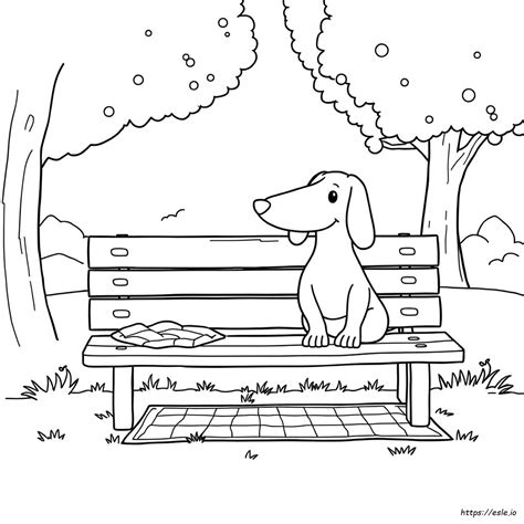 Sausage Dog Colouring Sheet