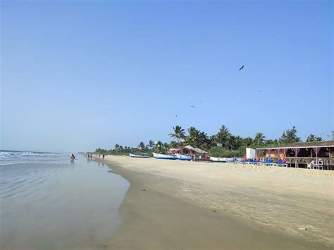 Top 4 Things to Do in Benaulim Beach Goa