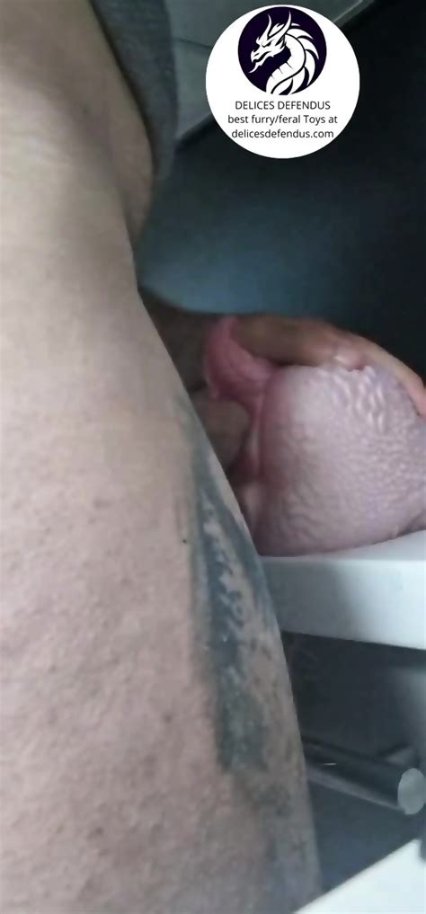 Furry Sexdoll From Delices Defendus Alura The Elegant Dragoness Gets Fucked Anal And Vaginal