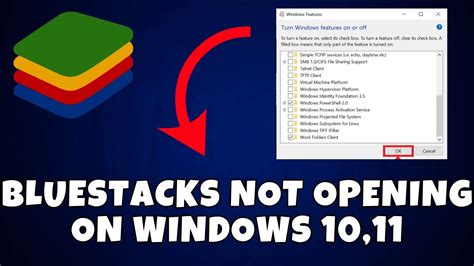 How To Fix BlueStacks Not Opening On Windows 10 11 YouTube