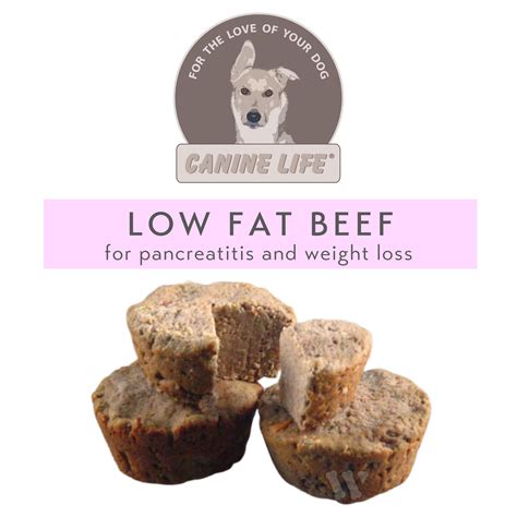 Cooked Dog Food For Pancreatitis: in-store or delivery in Toronto ...