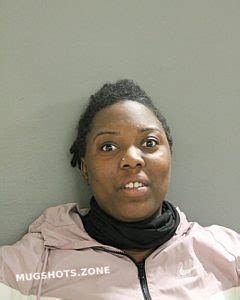 Nikole G Davis Chicago Mugshots Zone