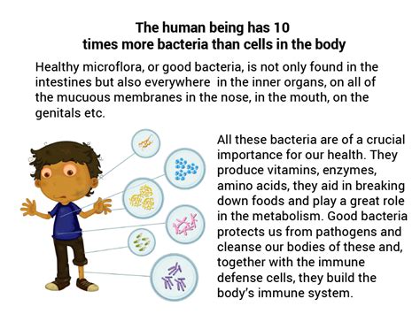 step  healthy bacteria  younger