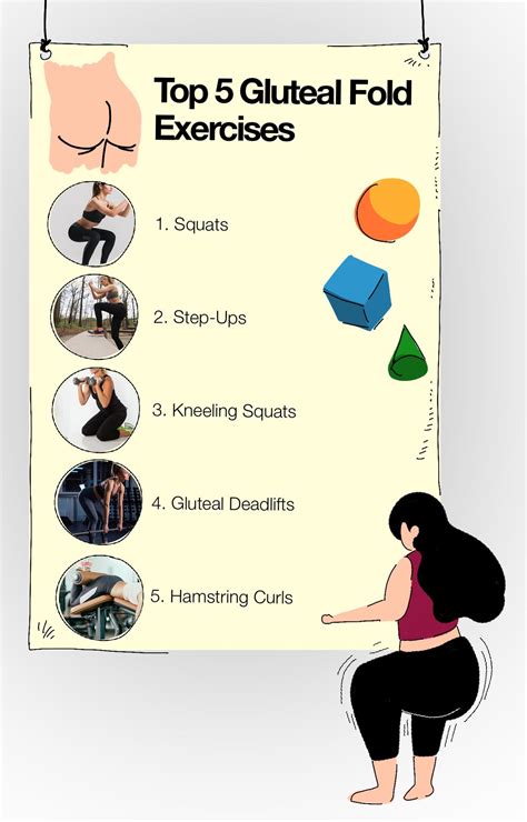 The Gluteal Fold: Top 5 Gluteal Exercises Target Underbutt Weight Loss (2024)