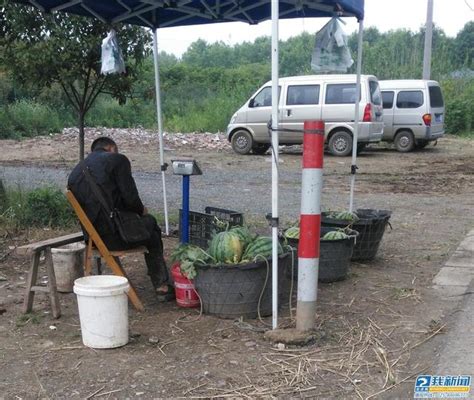 連續陰雨天致西瓜注滯 銷 瓜農很「受傷」 每日頭條