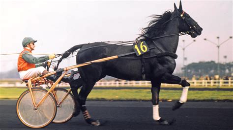 Prix De Bretagne Les Vainqueurs De L Gende Letrot