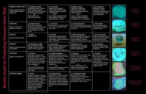 Pdf Braden Scale For Predicting Pressure Ulcer Risk Risk Assessment