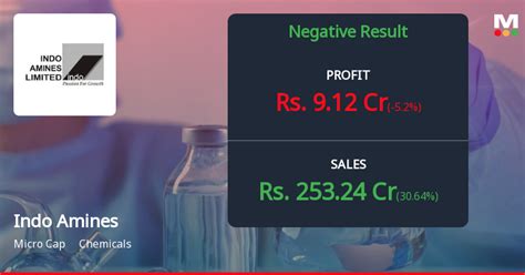 Indo Amines Reports Mixed Results For Q1 2024 Investors Urged To Analyze Carefully