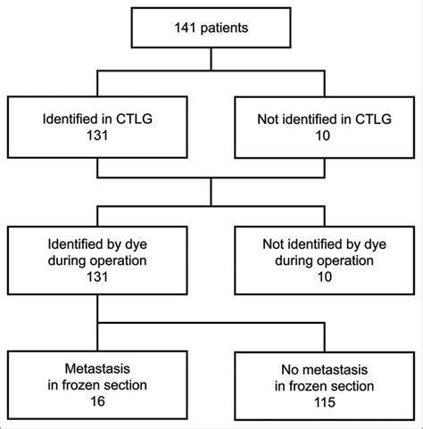 Using Computed Tomography Lymphography For Mapping Of Sentinel Lymph