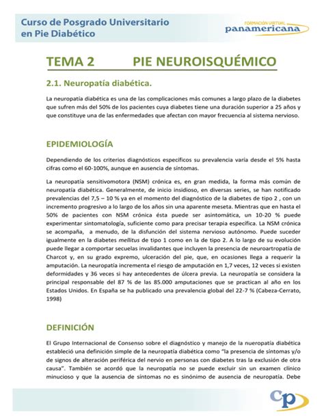 tema 2 pie neuroisquémico Campus Virtual Panamericana