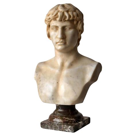 Bust Of Antinous Carved On White Carrara Marble Early 20th Century For