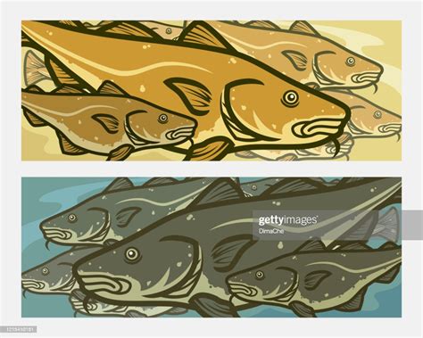 fish cartoon atlantic  fishes vector background high res vector