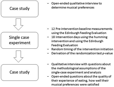 Mixed Methods Single Case Research State Of The Art And Future