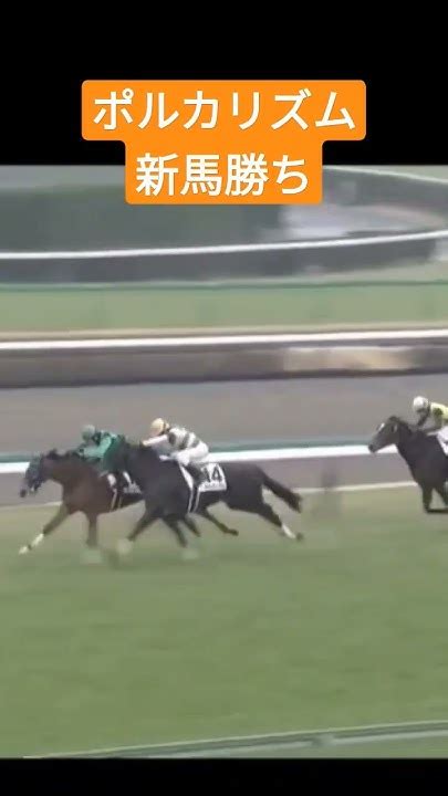 愛馬ポルカリズムがデビュー戦勝利しました ️ 競馬 新馬戦 Youtube