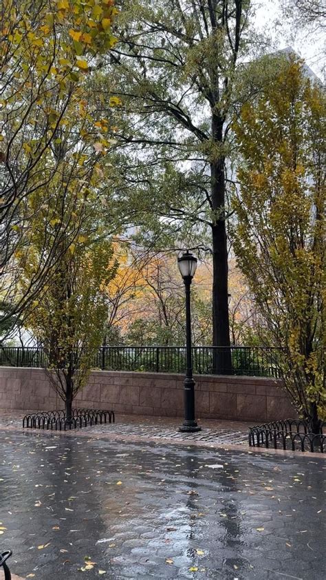 autumn aesthetic  nyc rainy day vibes