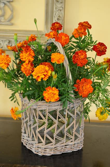 Entertaining From An Ethnic Indian Kitchen Designing With Marigolds