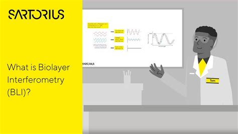 Biolayer Interferometry Bli The Biophysics Behind The Bli